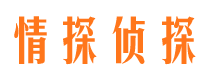 礼县侦探